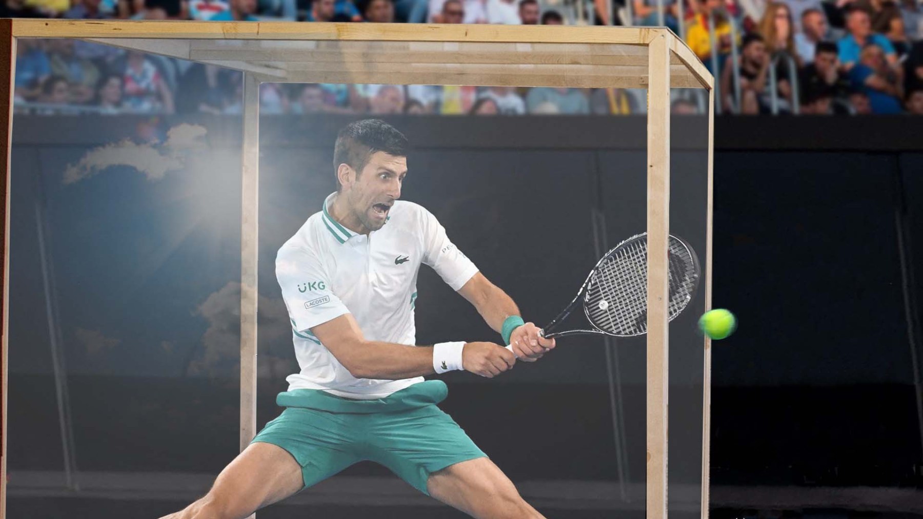 Djoković si nakonec na Australian Open zahraje. Miloš Zeman mu zasílá své akvárium