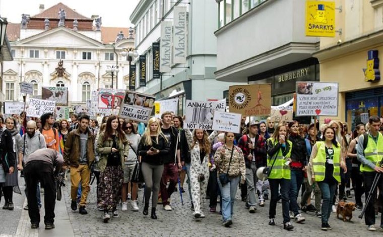 Prahou zmítají masové demonstrace vegetariánů!