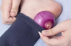 Ruští badatelé zastavili šíření koronaviru pomocí cibule!