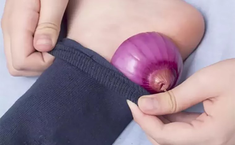 Ruští badatelé zastavili šíření koronaviru pomocí cibule!