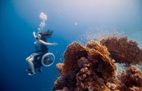 Aktivisté přestavěli Velký bariérový útes na bezbariérový!