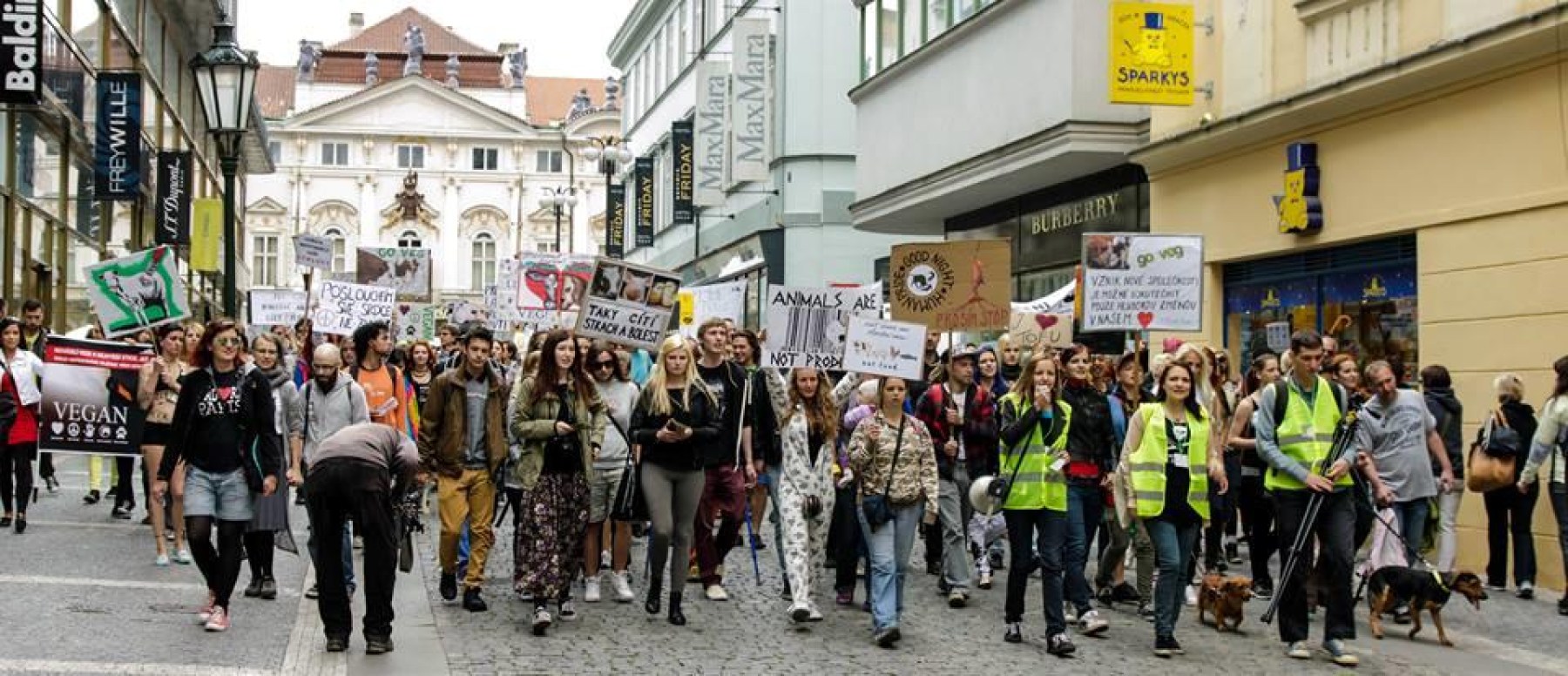 Prahou zmítají masové demonstrace vegetariánů!
