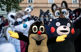 V ulicích Brna zastřelil medvěda, rysa a krokodýla. Asociace fuříků je zdrcena!