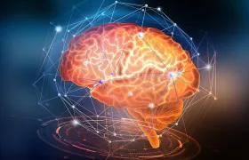 Ruská studie: Pouze extrémně inteligentní lidé kliknou na tento odkaz