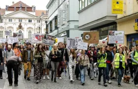 Prahou zmítají masové demonstrace vegetariánů!