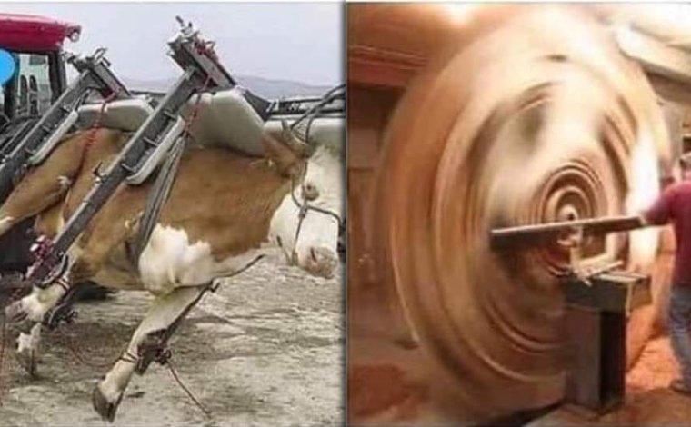Opravdu za to tvůj mléčný shake stojí, ptají se Attention Whorebellion